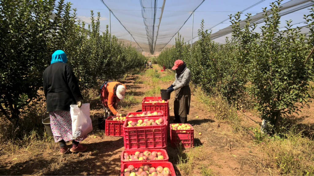 İzmir Son Dakika Haberleri 18 SGK uzmanı Elmen açıkladı: Çalışanların Ramazan ayındaki izin hakları neler?