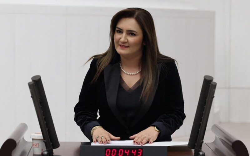 Sevda Erden Kilic Chp RP3NGH