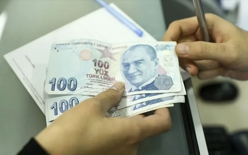 Tek Geliri Emekli Ayligi Olanlara Vatandaslik Maasi Geliyor Xlarge