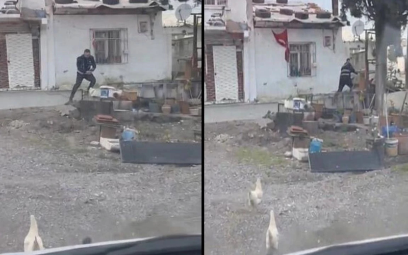 ''Yılandan korkmam, tavuktan korkarım'' dedi, nedeni şaşırttı 1 Adsiz Tasarim 77 1 8Ak1d0