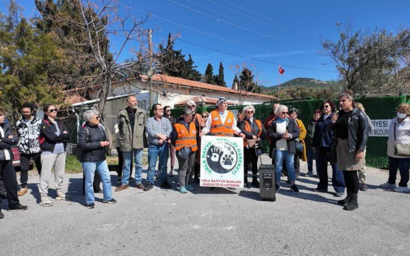 Foca Protesto 5jGHQI