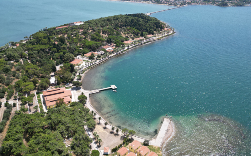 Selçuk Balkan’dan Urla için doğa muhtırası: Bir tek ağaç bile kestirmeyeceğiz! 1 Urla 34 CypPWK