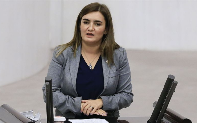 Sevda Erdan Kilic 1 5VH37X