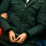 Zanli Pp4bVp