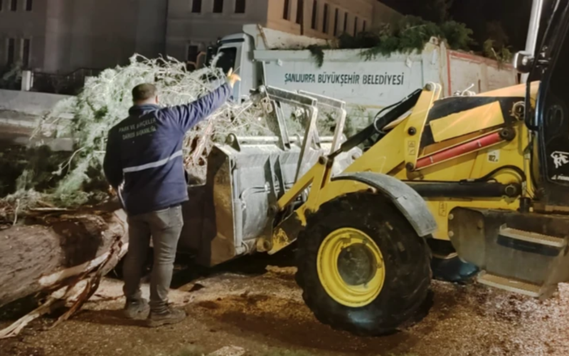 Türkiye’de hortum ve sağanak alarmı: Bir kişi hayatını kaybetti, çok sayıda yaralı var 1 Is Insani 17 4 CDuGIy