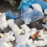 Izmir 33 Kedi Vahseti 3Dg1gv
