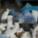 Izmirde 33 Kedi Cop Konteynerinde Olu Bulunmustu Itiraz Sonrasi Veteriner Tutuklandi 1 XmmUAl