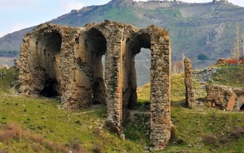 Bergama’nın “Yaşayan Mirası” uluslararası yaz okulunda masaya yatırılacak 1 ekran goruntusu 2026 06 06 120419 Umw2ZY