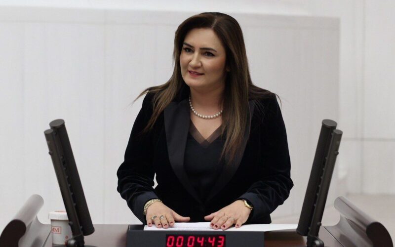 Sevda Erden Kilic Chp YPu5M4