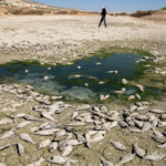 Tarihin en güçlü El Niño’su kapıda mı, dünyayı neler bekliyor? Bilim insanlarından kritik uyarı