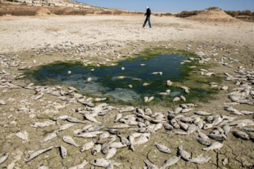 Tarihin en güçlü El Niño’su kapıda mı, dünyayı neler bekliyor? Bilim insanlarından kritik uyarı