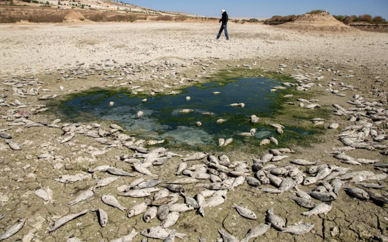 Tarihin en güçlü El Niño'su kapıda mı, dünyayı neler bekliyor? Bilim insanlarından kritik uyarı 1 super el nino 1 tzqhjA