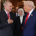 Trump 42 NLm6MV