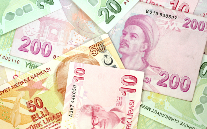 TL'nin reel değeri Mayıs ayında geriledi 1 turk lirasinin kadin sesi 50 tlnin arkasindaki yuz kimin R0O3gc